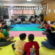 ปรากฏการณ์ของชีวิต