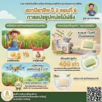 สถานีอาชีพ ปี 2 ตอนที่ 9 การแปรรูปหน่อไม้ฝรั่ง (มีภาษามือ)