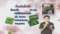 เคล็ดลับตำรับไทย  ตอนที่ 11 ข้าวมันส้มตำ 